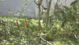 “森”呼吸幸福日记打卡活动圆满举办